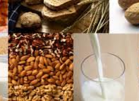 Il Test Di Incompatibilit Alimentare